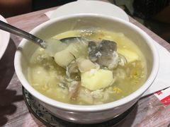 -牛油果大师寿司(瑞景店)