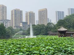 -龙头寺公园