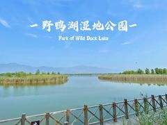 -野鸭湖国家湿地公园