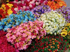 -双季花艺园艺市场(浦东店)