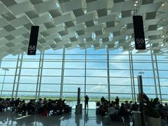 -陈鹏鹏潮汕菜(宝安机场T3航站楼店)