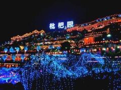 -枇杷园食为鲜火锅(南山店)