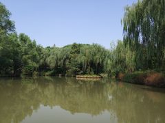 景点-同里国家湿地公园