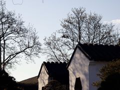 -留园
