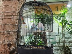 -丽江庭院之丽江往事(安定门店)