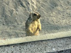 -哈尔滨北方森林动物园