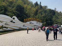 -西双版纳原始森林公园