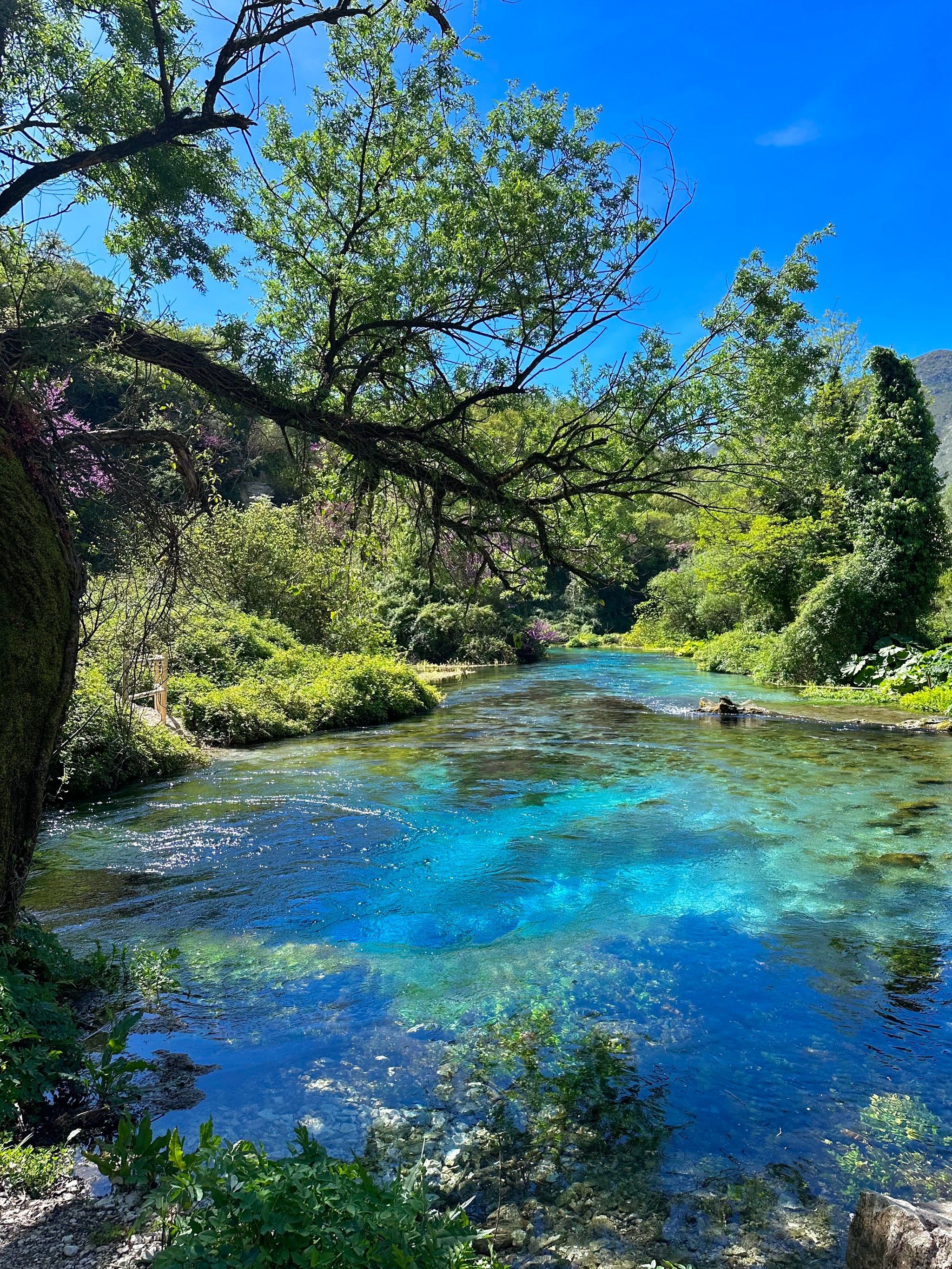 分享治愈系风景 #我拍到的治愈系风景 #好山好水好风景 #阿尔巴尼亚