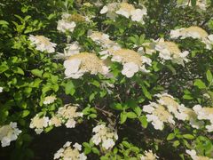 -南京工程学院(江宁校区)