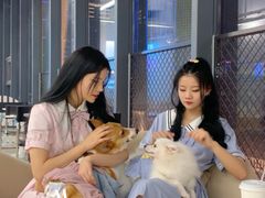 -怪兽屋·羊驼·猫咖·狗咖(俊华广场店)