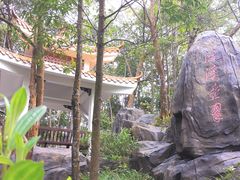 -广州市流溪河国家森林公园
