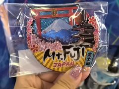 -富士山吉田線五合目