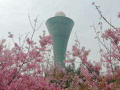 -狐尾山公园