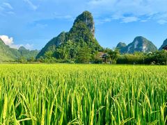 -靖西鹅泉风景区
