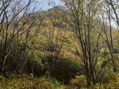 -云岫谷游猎自然风景区