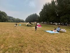 -长白岛森林公园