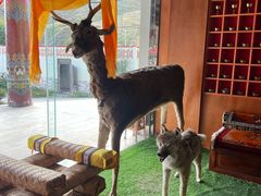 -黑青稞庄园·新式藏餐·牦牛肉汤锅(新都桥店)