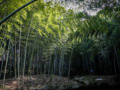 -石塘人家