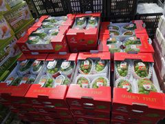 -新发地高碑店农副产品物流园