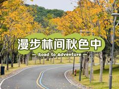 -牛岗山公园