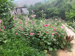 iphone_upload_pic-双新垂钓园