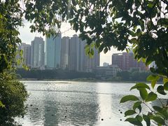-南宁南湖公园