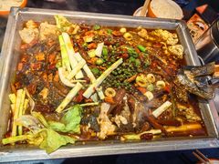 -喵探烤鱼·活鱼烤(北唐总店)