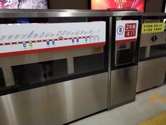 -大望路(地铁站)