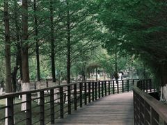 -沐仙湖湿地公园