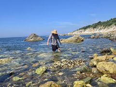 -养马岛旅游度假区