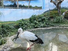 -成都动物园