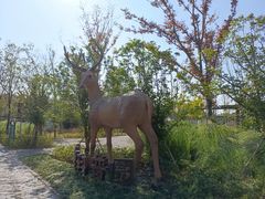 -溱湖国家湿地公园