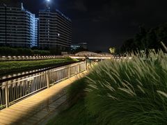 -福田红树林生态公园