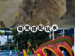 -成都欢乐谷