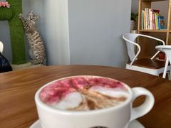 -Cappucimeow猫咪咖啡馆(韦伯时代店)