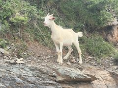 -北京西山国家森林公园