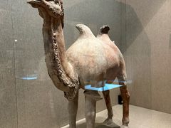 -敦煌市博物馆