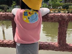 -百万葵园