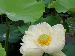 -黄兴公园