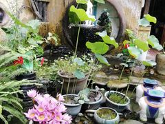 -园林美食城·本土农家菜(杨和镇店)