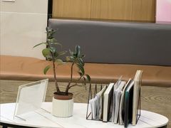 -半岛宠物医院24小时·内窥镜·牙科·碎石中心(府城大道店)