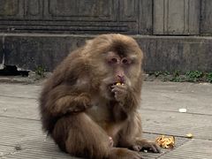 -乐山第一家临江鳝丝(茶坊路店)