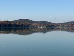 -水上明月·湖景餐厅