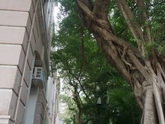 -香港大学