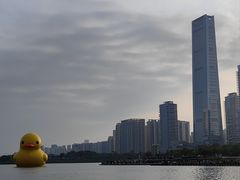 -深圳人才公园