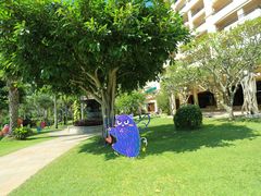 -三亚亚龙湾天域度假酒店