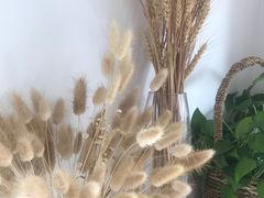 -长颈鹿的口袋钵钵鸡(市南店)