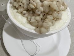 薏米双皮奶-老周记顺德双皮奶