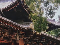 -晋祠公园