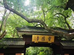 -杭州双溪漂流景区